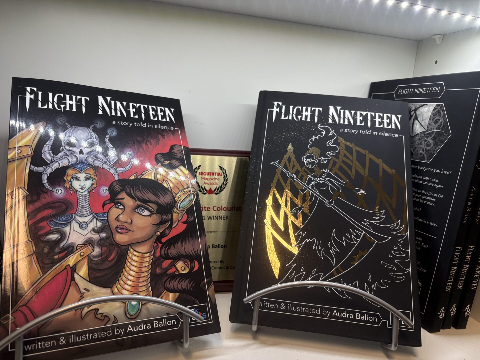 A photo of the soft cover and hard cover versions of Flight Nineteen by Audra Balion